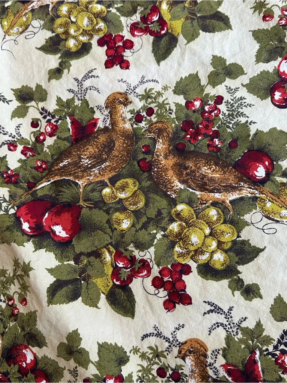 FLAWLESS Vintage 1960’s-1970’s Cotton tablecloth